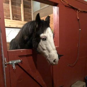 Meet your Posher, Paula